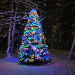 Arctic Near Santa Park فيلة