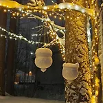 Arctic Near Santa Park فيلة روفانييمي