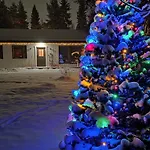 Arctic Near Santa Park *