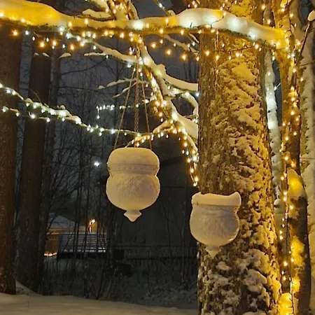 Arctic Near Santa Park Villa Rovaniemi