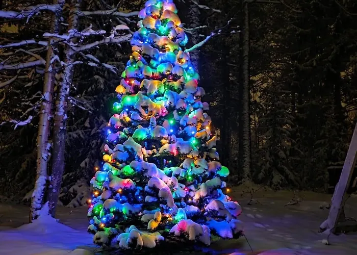 Arctic Near Santa Park Villa