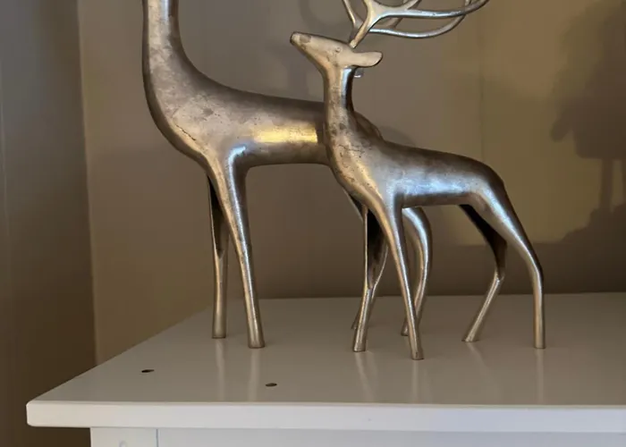 Villa Arctic Near Santa Park