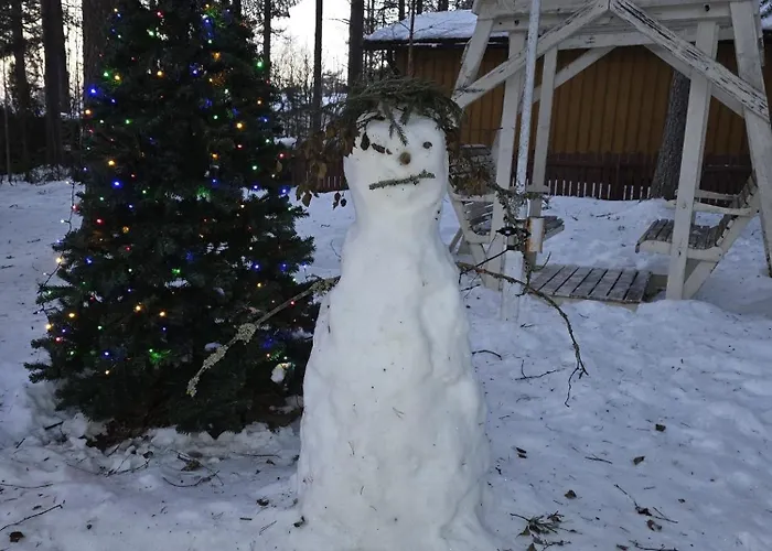 Arctic Near Santa Park * Rovaniemi