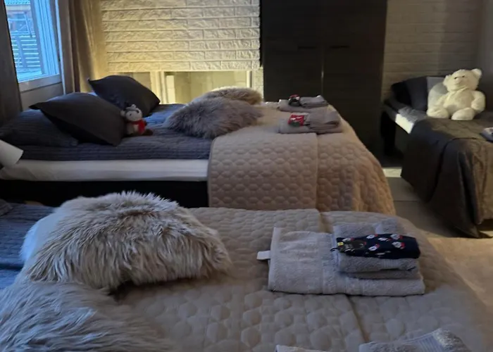 Arctic Near Santa Park Villa Rovaniemi